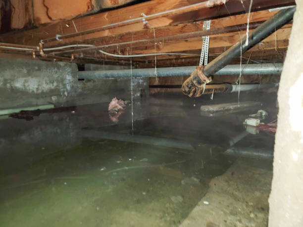 Best 24/7 water damage repair  in Lemon Grove, CA
