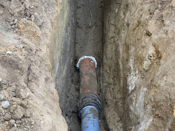 Best 24/7 water damage repair  in Lemon Grove, CA