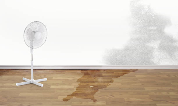 Best Emergency water damage restoration  in Lemon Grove, CA