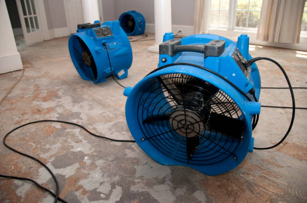 Best Water damage restoration near me  in Lemon Grove, CA