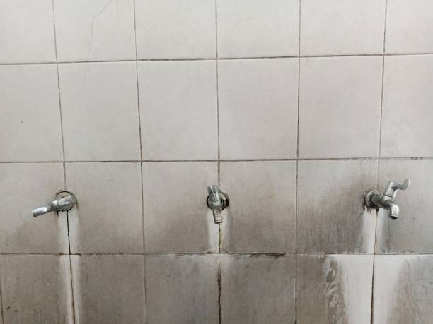 Best Fire Damage Restoration  in Lemon Grove, CA