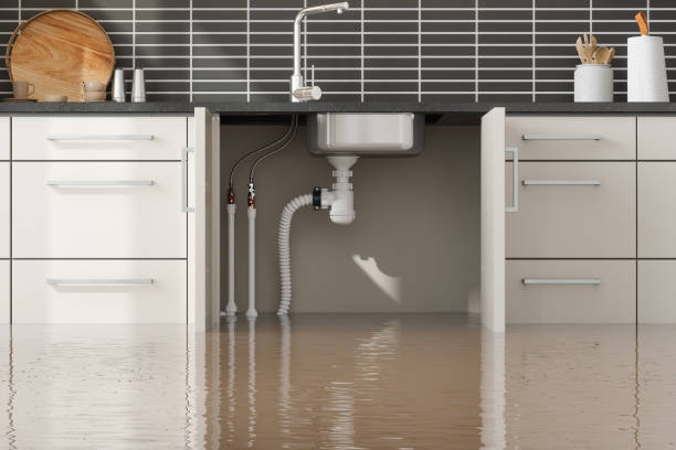 Best 24-hour water damage restoration  in Lemon Grove, CA