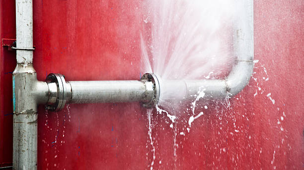 Best Professional water damage repair  in Lemon Grove, CA