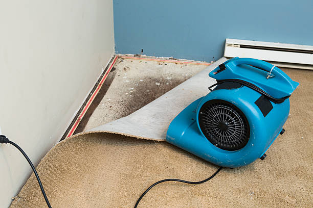 Best Water damage cleanup near me  in Lemon Grove, CA